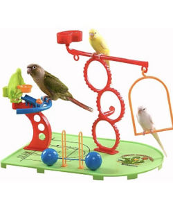 Birdie Basketball Gym - Activity Centre for Smaller Parrots